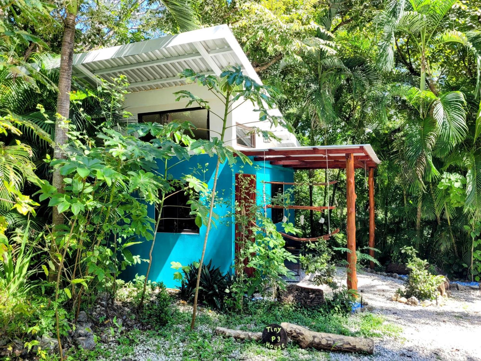 Villa Martina Palmgarden Sámara Habitación foto